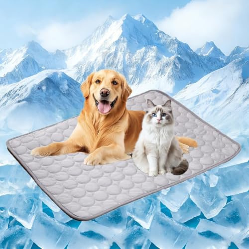 Tapis Rafraichissant Chat Et Chien, Durable Tapis Refroidissant Chat Refrigerant Chien Couverture Rafraichissante Chaleur Matelas Réfrigérant Animaux Compagnie en été Cooling Mat Dog (Gris, L)