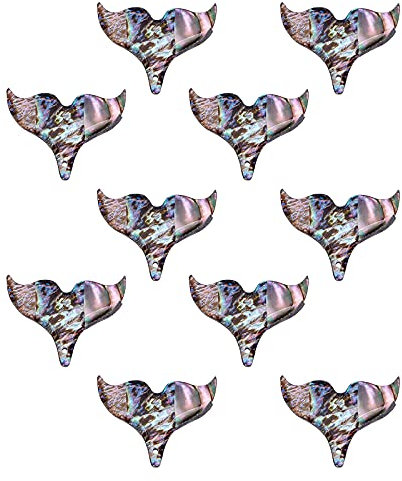 BENECREAT 16 Packs Ormeau Naturel Coquillage Queue De Poisson Perles de Coquille d'ormeau avec conteneurs de Stockage pour la Fabrication de Bijoux de Bricolage