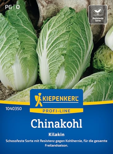 Kiepenkerl Chinakohlsamen Kilakin 1040350, Gemüsesaat | Freilandsaison, Aussaat ab Saatbeet, für Beet & Freiland