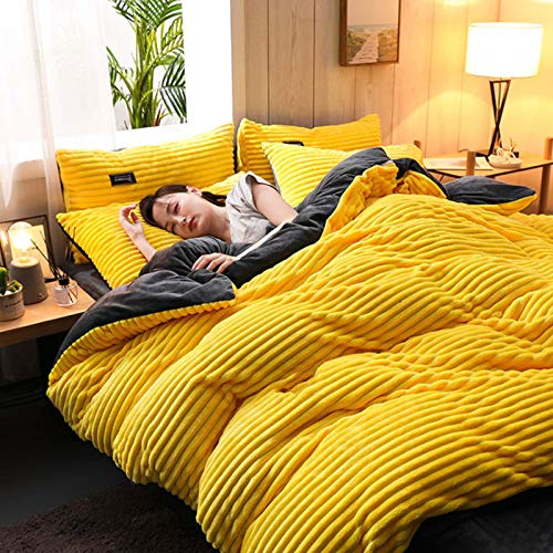 XINGYU Set Copripiumino Letto Matrimoniale Lenzuola Singole Federe Biancheria da Letto 4 Pezzi Inverno Addensato Pile di Corallo Set Ipoallergenico in Microfibra Super Morbida