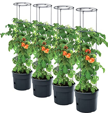 PAFEN 4X Tomatenpflanze Pflanzkübel - 295 x 1152 mm - Tomato Grower Pflanzen Tomate Garten Terrasse