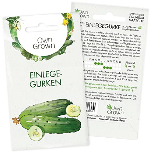 Einlegegurken Samen: 20 Gurken Samen für die Vorgebirgstraube – Saatgut Gemüse für Gurkenpflanzen – Gurken Saatgut – OwnGrown Gemüse