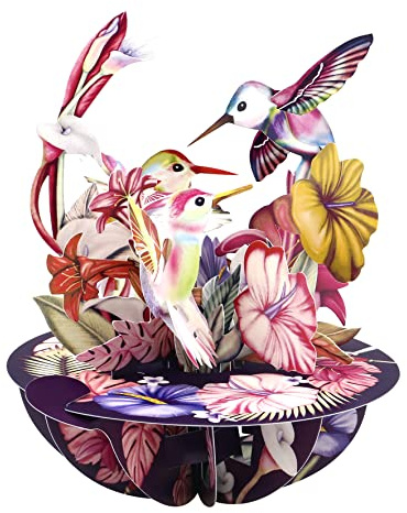 SANTORO Pirueta, Tarjeta De Felicitación Emergente 3D - Colibríes Blush - Para Ella, Él, Mamá, Esposa, Hermana, Hija, Cumpleaños, Amantes De Las Aves | Tarjetas De Agradecimiento Para Profesores