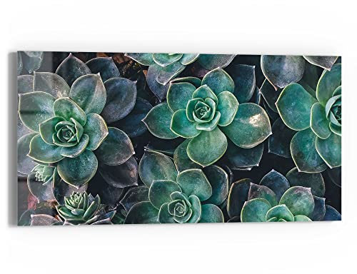 DEQORI Glasbild Echtglas | Motiv Sukkulente Pflanzen | horizontal einteilig 60x30 cm | schöne Dekoration | Wandbild für Wohnzimmer, Schlafzimmer, Flur & Küche | moderne Wanddeko