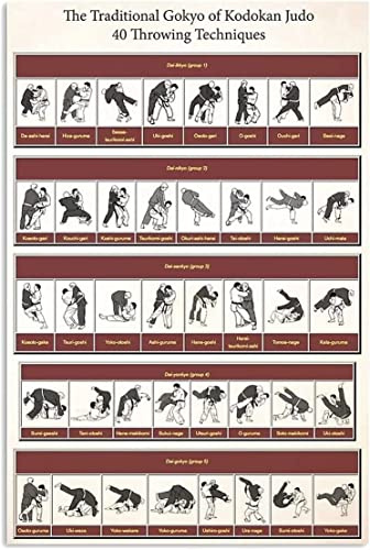 Judo Wissen Metallschilder Wanddekoration Das traditionelle Gokyo von Kodokan Judo Poster 40 Wurftechniken Leitfaden Plaketten Vintage Blechschild für Judokan Club Zimmer Fitnessstudio 16x12 Zoll