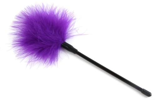 Hdynasty Baguette en Plumes Multicolore Jouet de grattage en Plumes Alternatif pour Les Femmes (Violet, 1)