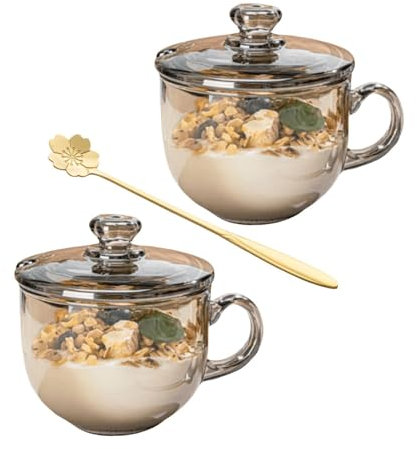 Tazze da caffè in vetro con coperchio, tazze da caffè trasparenti con cucchiaio, set di bicchieri per bar, bicchiere da 425 ml, per cappuccino, bevande calde e fredde, 2 pezzi, grigio