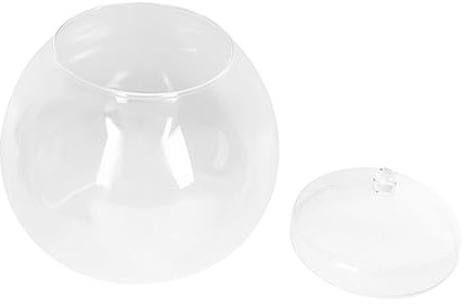 HANABASS Glas-Terrarium Mit Deckel Dekorative Mikro-landschaftsflasche Transparenter Behälter Aus Glas Für Pflanzen Pflanzenterrarium Aus Für Wohndekor Leere Flasche Mit Verschluss