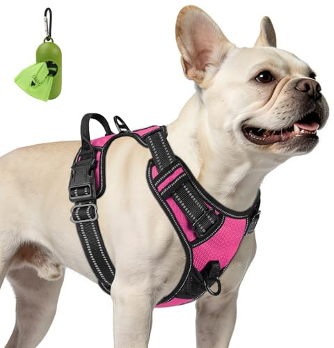 Joytale Anti-Zug Hundegeschirr für kleine Hunde, Rosa, S | Perfekter Sitz, gepolstert & reflektierend, 2 Anleinpunkte (vorne & hinten), Haltegriff für Treppen & Auto, für Training