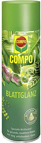COMPO Blattglanz für alle Grünpflanzen, 300 ml, Sprühflasche | Pflegt und reinigt Blätter, verleiht natürlichen Glanz, fördert Photosynthese und Vitalität der Pflanzen