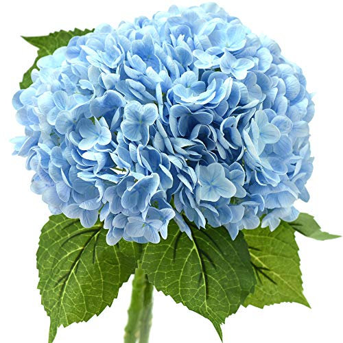 FiveSeasonStuff Hortensien aus Seide, fühlt Sich echt an, 2 große künstliche Blumen mit langem Stiel für Blumenarrangements (Himmlisches Blau)