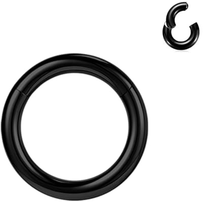 BodyAce Anillos PA de segmento con bisagras negras, 2G, 4G, 6G, 8G, 10G, 12G, anillos grandes BCR de acero quirúrgico, aro para tabique nasal, calibre de oreja, aros negros, 12G, 10G, 8G, 6G, 4G, 2G