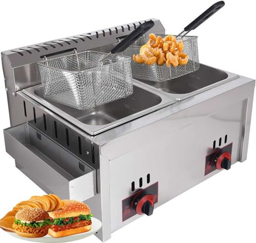 Friteuse commerciale avec capacité de 10 L + 10 L – Friteuse à gaz professionnelle pour la maison et la cuisine avec plaque d'assaisonnement en acier inoxydable