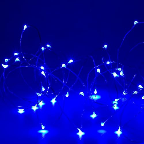 KARSUM USB Powered String Lights,LED Silver Wire Micro Fairy Lights,5M/16.4Ft 50 Twinkle Lights for Indoor Bedroom Garden Party Wedding Christmas Party Decoration (Blue, 5M/16 Ft.)