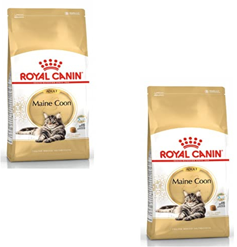 Royal Canin Maine Coon Adult | dubbelpack | 2 x 400 g | torrfoder för katter | Anpassad till behovet hos Maine Coon-katter | För att stödja leder och ben