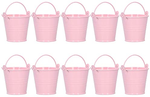 Atyhao 10 pièces Pot de Fleur Mini Plante succulente Pot Petit Seau en métal pour intérieur extérieur décor jardinières conteneur Accessoires(#2)