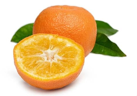 Árbol Frutal de Citrus Sinensis (Naranjo) Cultiva tus Naranjas Naturales en Casa