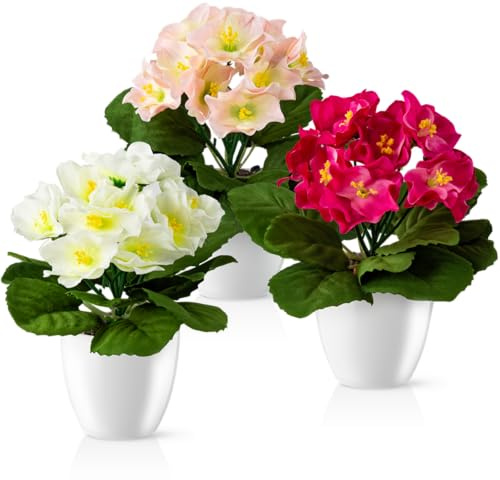 PASCH® Begonie im Hochglanz-Keramiktopf | Kunstblumen im Topf | Künstliche Blumen wie echt | Fake Blumen | Kunstblumen wie echt (Japanische Begonie, 3 Stück, 16cm)