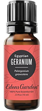 Edens Garden Geranium- Egyptian Essential Oil- 100% Pure Premium Grade, Undiluted, Natural, Therapeutic, Aromatherapy, The Best for Diffuser, Skin, Face, Hair 10 ml (.33 fl oz)