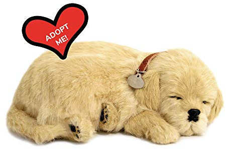 Perfect Petzzz 4908 – Soft Toy Dog Golden Retriever