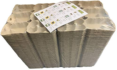 Anglia Farm Supplies - 924 Grey Egg Cartons Bulk Buy Bundle - 1/2 dozen pulp packaging boxes - includes 24 labels