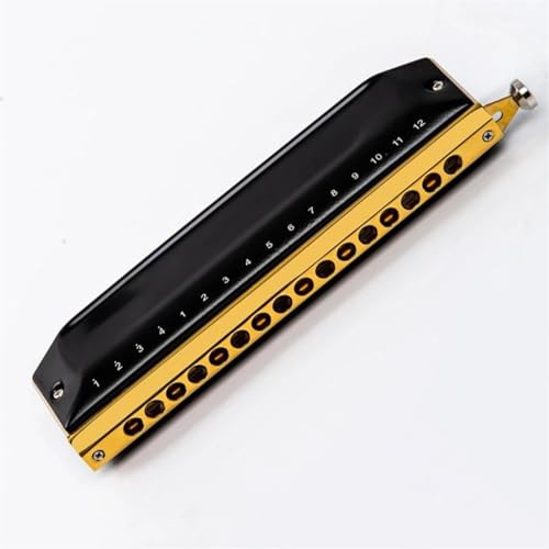 Chromatische ABS-Kammharmonika mit 16 Löchern in C-Taste, professionelles Spielinstrument Mundharmonika-Set