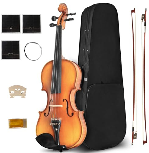 Ceciliec Acoustic Violin For Beginners, CVN-500 Solidwood Ebony Fitted Starter Violins Fiddle Kit For Student w/Hard Case, Bow, Size 4/4 (Full Size)