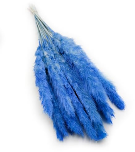 Enchanted Dekogras Pampasgras Mini Getrocknetes Gras Ziergras Natürlich Deko Blau