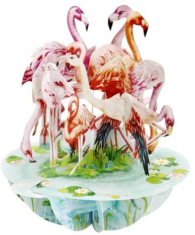 Santoro Pirouette 3D Pop Up Grußkarte Flamingos Vogelbeobachtung Geschenk für Mädchen Frauen Geburtstag Muttertag