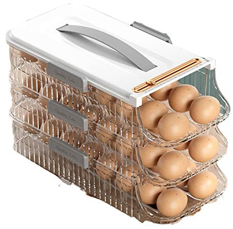 Gimly Envase para Huevos con Tapa,Hueveras para Frigorifico Cartón de Huevos Plástico con Capacidad para 16 Huevos,para Cocina (Blanco), Partón de Huevo,Clear,16.9cm
