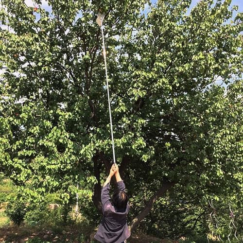 griffe de jardin pince telescopique Cueilleur De Fruits Avec Perche Réglable, Poignée Longue Arbre De Jardinage Outil De Cueillette De Fruits Pour Les Petits Fruits, Les Pommes, Les Citrons, Les Avoca