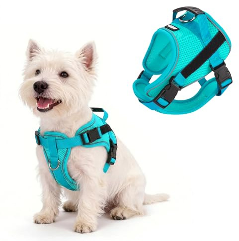 AIITLE Reflektierendes Hundegeschirr mit Griff, weich, bequem, für jedes Wetter, Netzgewebe, atmungsaktiv, verstellbar, Welpengeschirr für kleine, mittelgroße Hunde (Grün, XS)