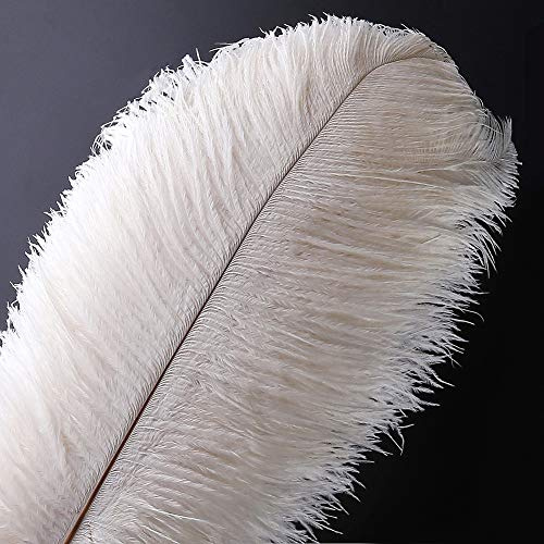 VoilaLove 20 pcs Plume d'Autruche Naturel Artisanat 10-12 Pouce (25-30 cm) Plume pour Centres de Mariage Décoration de La Maison (25-30cm,Blanc)