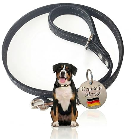 Leder Hundeleine Schwarz 1m kurz – Echtleder Führleine 2cm breit – Made in Germany – Mit Nappaleder gepolsterter Griff – Übungsleine für große Hunde – Robustes Fettleder handgefertigt