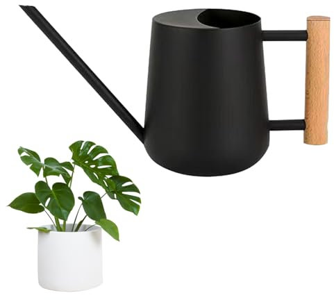 LPAMABA 1L Gießkanne Edelstahl für Pflanzen im Innen- und Außenbereich, Bonsai Mit Langem Ausguss und Holzgriff