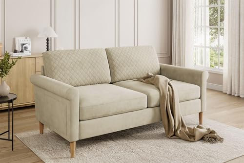 Vesgantti 2 Sitzer Sofa, Stoff Doppelsofa 164cm mit beidseitigen Taschen, Sofa mit Kissen Montage ohne Werkzeug für Wohnzimmer, Schlafzimmer, Büro, kleinen Raum 164L*76D*85H cm, Beige