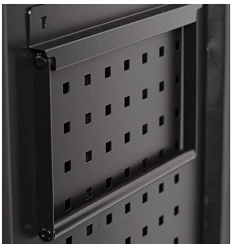 SW-Stahl 07121L - Portarrollos de Papel para Carro de Taller, Accesorios de Taller para Pared Perforada, Soporte de Pared, Rollo de Papel, Taller, Carro de Herramientas, portarrollos de Papel, 30 cm