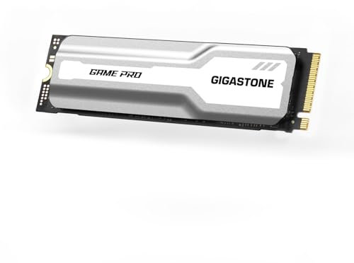 GIGASTONE M.2 SSD 500 GB PCIe 3.0 NVMe SSD Interno Gaming Disco rigido a stato solido Turbo Velocità Dissipatore di calore Dissipazione del calore PC Laptop Storage per giocatori Video Editing