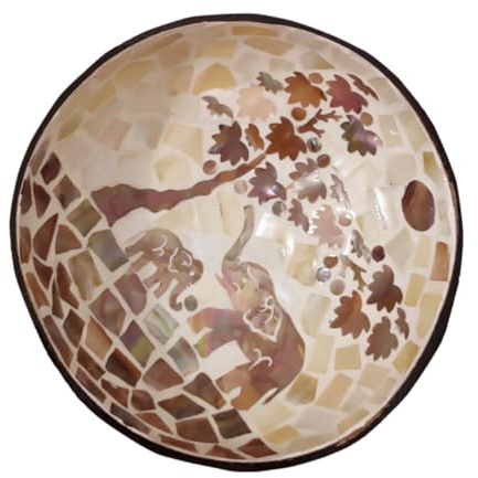 Ciieeo Ciotola Decorativa in Cocco Portaoggetti per Chiavi e Noci 100% Facile da Riporre Cucina e Decorazioni Domestiche