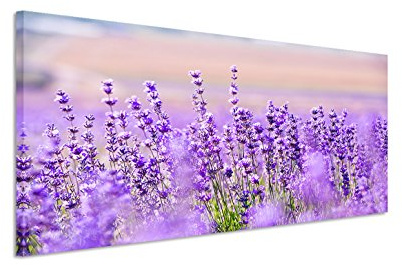 150x50cm Leinwandbild auf Keilrahmen Lavendel Blumen Wandbild auf Leinwand als Panorama