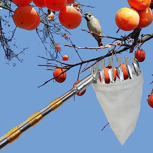Delorm Obstpflücker Mit Teleskopstiel, Verstellbares Pflückerwerkzeug Mit Obstaufbewahrungstasche Für Kirsch-, Beeren-, Orangen-, Zitronen- Und Birnenernter, Extra Lang Und Leicht