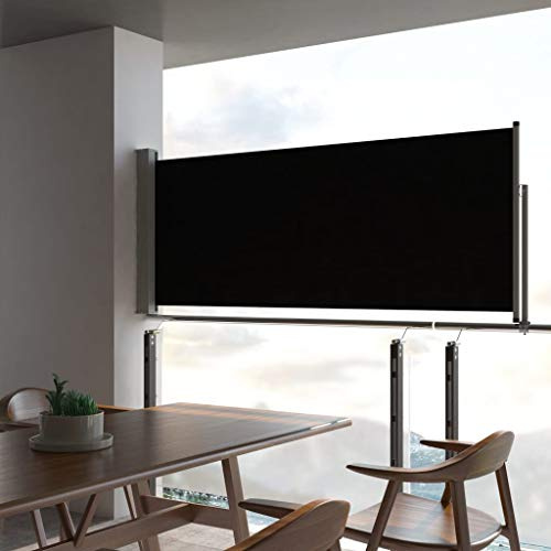 MNISDFL Toldo lateral para balcón, protección visual, 100 x 300 cm, color negro