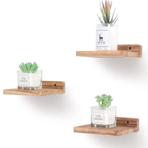 NIUBEST Kleines schwebendes Regal, 12,7 x 15,2 cm, Ausstellungsleisten für Wand, Mini-Regal, rustikales Holzregal für Schlafzimmer, Wohnzimmer, Badezimmer, Küche (3, karbonisiertes Schwarz)
