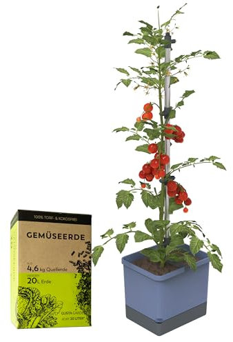 GUSTA GARDEN Tom Tomato - Maceta para tomates (20 L, depósito de agua de 4,5 L y 20 L de volumen de tierra, 20 L, con tierra), color gris claro