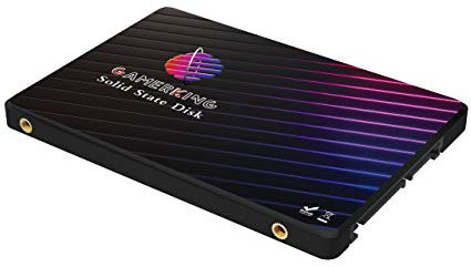 GAMERKING SSD 2.5 SATA3 1TB interno disco a stato solido per laptop desktop SATA III 6 Gb/s 512GB 256 GB 128 GB 64GB disco rigido ad alte prestazioni (1TB, 2.5 SATA3)