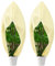 Cappuccio Protezione Piante, 2 PCS Protezione Invernale per Piante, Telo Protezione Piante con Cordoncino，Protezione Antivento Traspirante Protezione Piante dal Freddo per Arbusti e Alberi 240 x 200CM