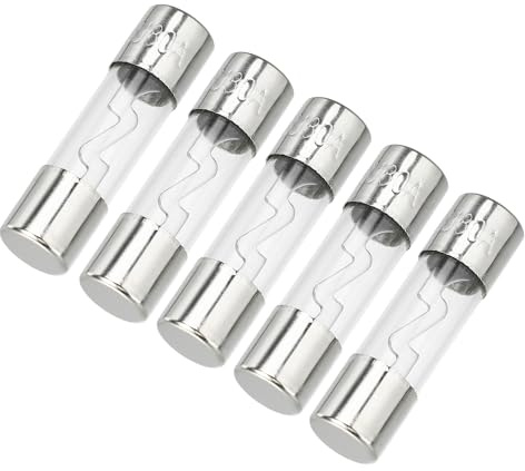 Partuto 5 Stück 10x38mm 0,39x1,50 Zoll 80A Universal AGU Glassicherung - Kfz-Sicherungsröhre zum Schutz der Stromversorgung - Metall Silberton