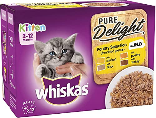 Whiskas 2-12 Months Kitten Pure Delight Wet Cat Food Pouches, Delicious and Tasty Poultry Selection in Jelly, 12 x 85 g