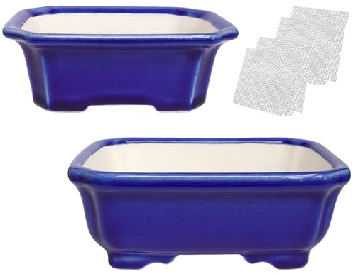 Zisha - Set di 2 vasi per bonsai in argilla bianca, smaltati, per piante grasse, colore: blu