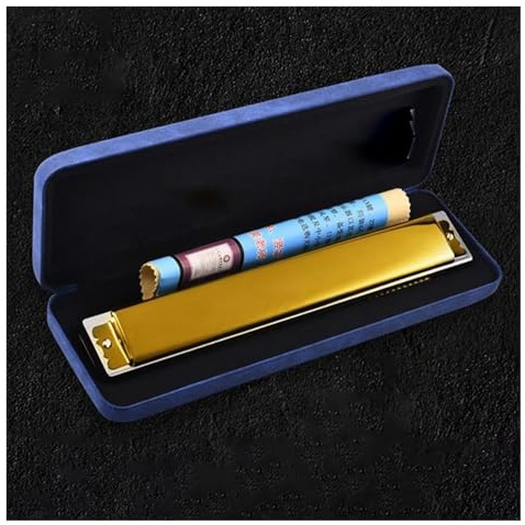Professional Mundharmonika 28 Löcher Mundharmonika Mini Musikinstrumente Professionelle Mundharmonika C Ton Professionelles Musikinstrument(Tremolo GD)